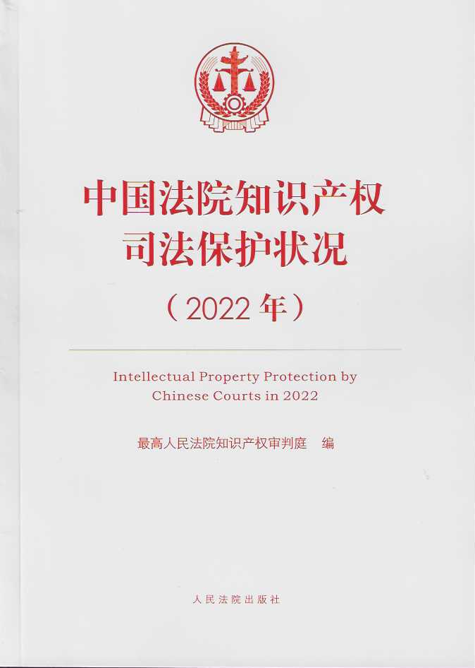 йԺ֪ʶȨ˾״2022꣩